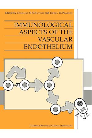 Immunological Aspects of the Vascular Endothelium