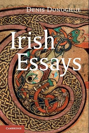 Irish Essays