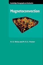 Magnetoconvection