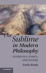 The Sublime in Modern Philosophy