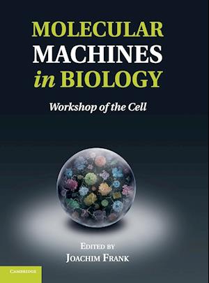 Molecular Machines in Biology