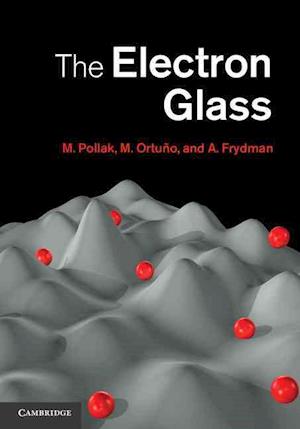 The Electron Glass