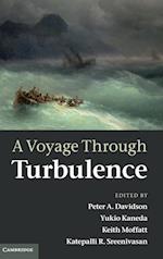 A Voyage Through Turbulence