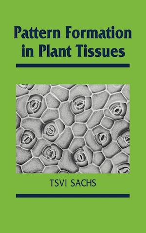 Pattern Formation in Plant Tissues