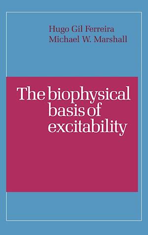 The Biophysical Basis of Excitability