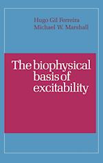 The Biophysical Basis of Excitability