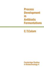 Process Development in Antibiotic Fermentations