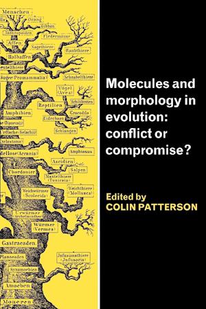Molecules and Morphology in Evolution