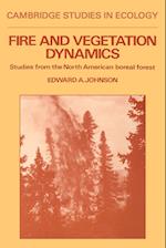 Fire and Vegetation Dynamics