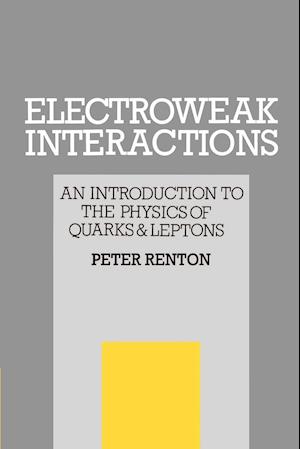 Electroweak Interactions