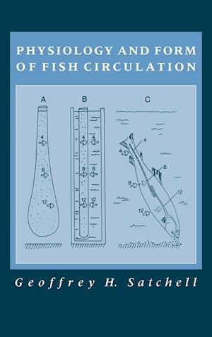 Physiology and Form of Fish Circulation
