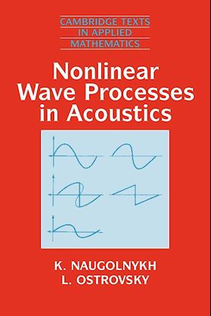 Nonlinear Wave Processes in Acoustics