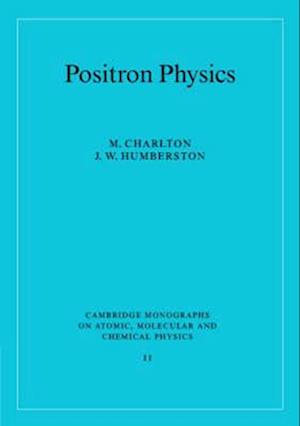 Positron Physics