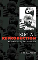 Social Reproduction