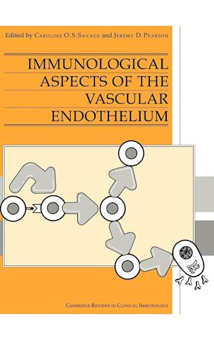 Immunological Aspects of the Vascular Endothelium