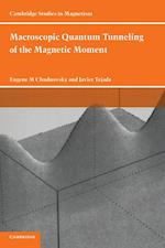 Macroscopic Quantum Tunneling of the Magnetic Moment