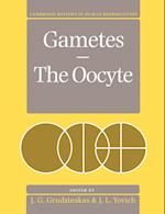 Gametes - The Oocyte