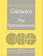 Gametes - The Spermatozoon