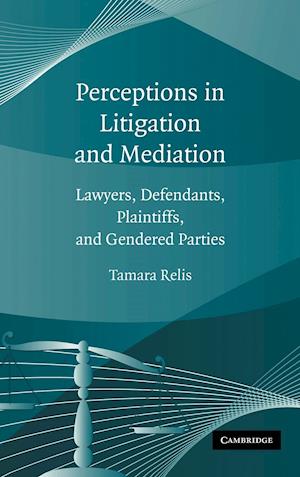 Perceptions in Litigation and Mediation