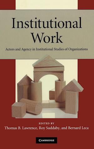 Institutional Work