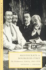 Aristocrats in Bourgeois Italy