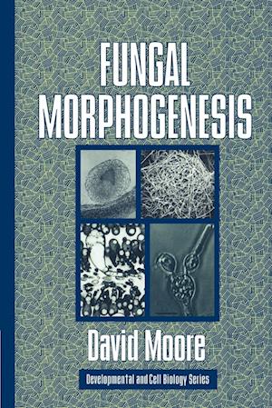 Fungal Morphogenesis