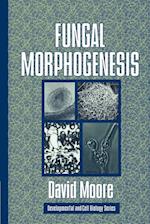 Fungal Morphogenesis