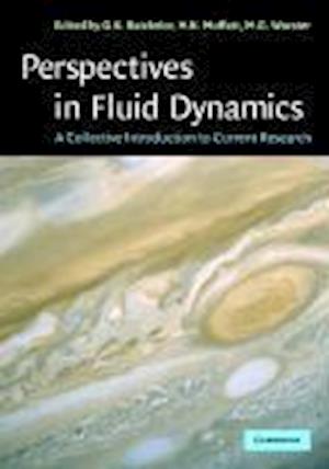 Perspectives in Fluid Dynamics