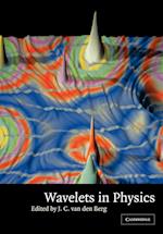 Wavelets in Physics