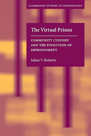 The Virtual Prison