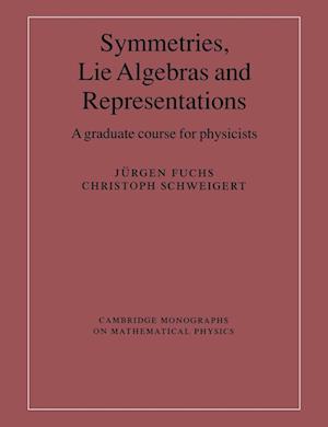 Symmetries, Lie Algebras and Representations