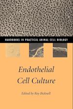 Endothelial Cell Culture