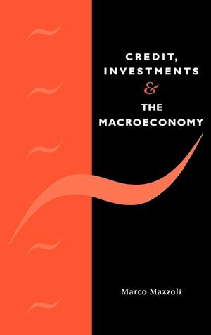 Credit, Investments and the Macroeconomy