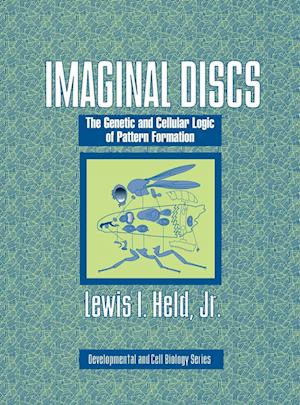 Imaginal Discs