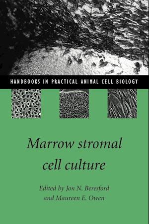 Marrow Stromal Cell Culture