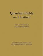 Quantum Fields on a Lattice