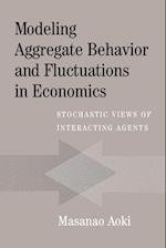 Modeling Aggregate Behavior and Fluctuations in Economics
