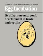 Egg Incubation