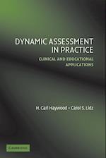 Dynamic Assessment in Practice