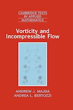 Vorticity and Incompressible Flow