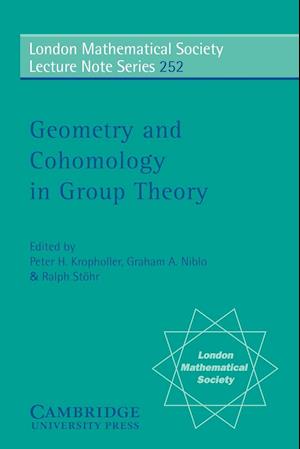 Geometry and Cohomology in Group Theory