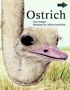 Ostrich South African Edition