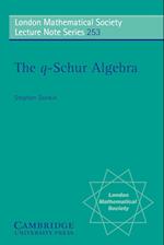The q-Schur Algebra