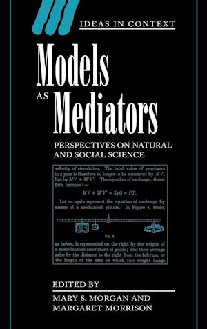 Models as Mediators