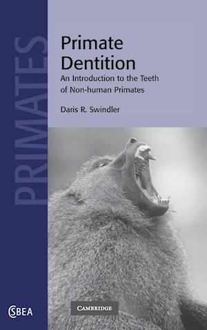 Primate Dentition