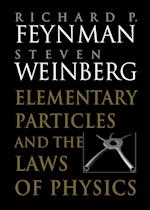 Elementary Particles and the Laws of Physics