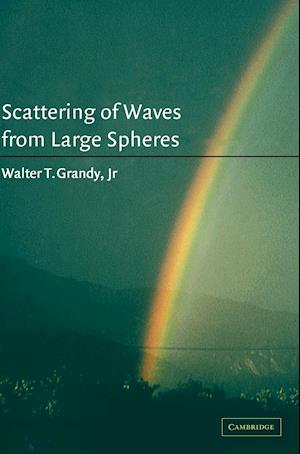 Scattering of Waves from Large Spheres