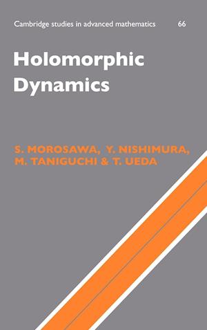 Holomorphic Dynamics