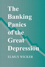 The Banking Panics of the Great Depression