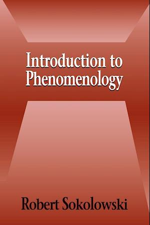 Introduction to Phenomenology